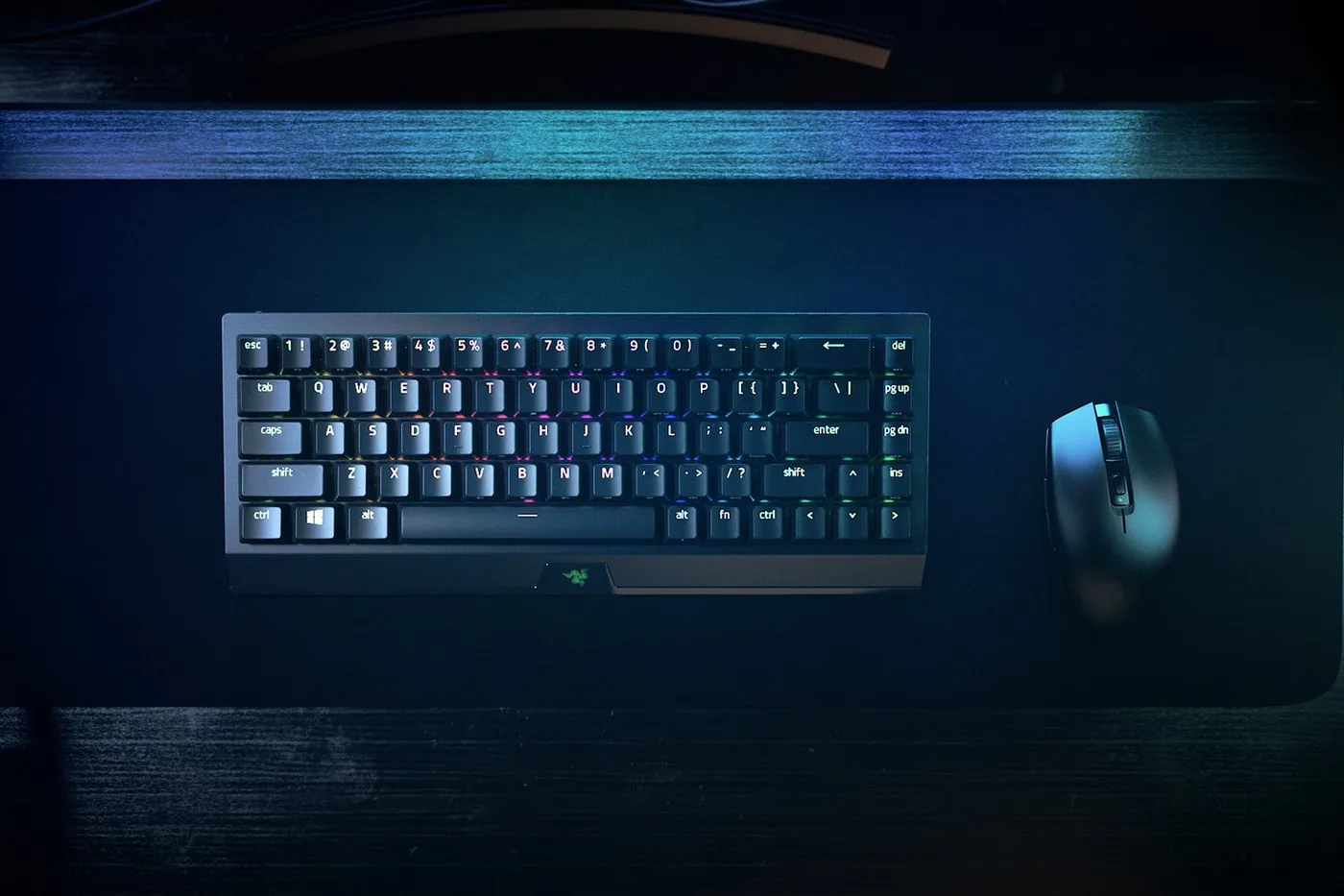 لوحة مفاتيح Razer BlackWidow V3 Mini HyperSpeed Green Switch — صورة 3